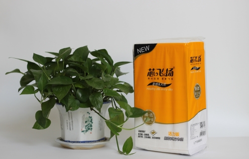 广西生活用纸